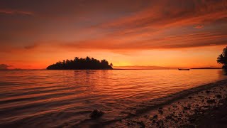 Oneil & Titov - Lovefool (No Copyright Music)