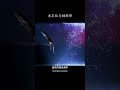 老鼠是如何进入马桶的 #科普 #知识渊博 #科学 #shorts