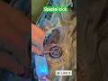 how to motorcycle fuel gauge special trick