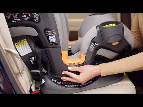 Chicco OneFit All-in-One