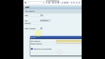 SAP Password Change Short @besakshaminsapmodule9016