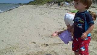 Cape Cod Bear 2