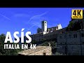 Ass  italia en 4k