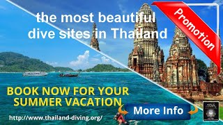 🛳️Dive sites, the most beautiful dive sites in Thailand, Similan Islands, Surin, #Richelieu Rock