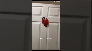 Elmo Core 2 #memes #funnyshorts #pov