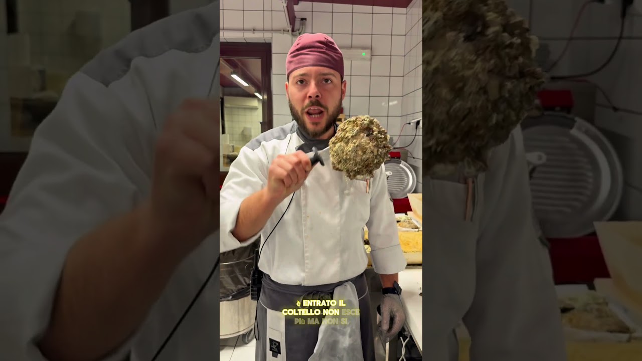 Un’ostrica GIGANTE