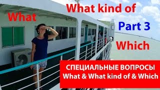 What - What kind of - Which. Cпециальные вопросы часть 3. Грамматика английского языка.