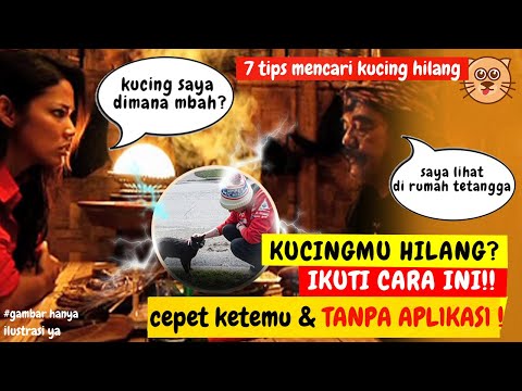 Video: Jurutera Belanda Membiarkan Kucing Pulang Menggunakan Sistem Pengecaman Wajah - Pandangan Alternatif