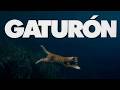 "GATURÓN": los gatitos de Otro día perdido se mandaron una de terror total