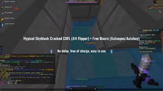 Hypixel Skyblock Auction Flipper and Autobuy Macro Mod Review