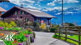 Switzerland 4K🇨🇭 Sigriswil, spring walk in the most beautiful Swiss villages