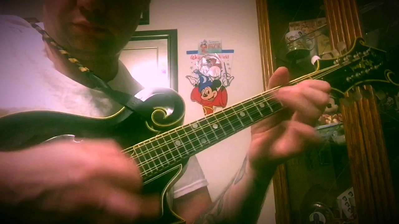 Rattlesnake mandolin vs PAVA mandolin