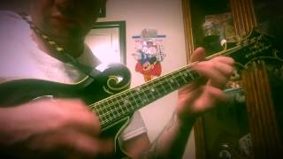 Rattlesnake mandolin vs PAVA mandolin