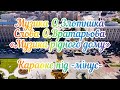 Музика О Злотника слова О Вратарьова Музика рідного дому караоке під мінус