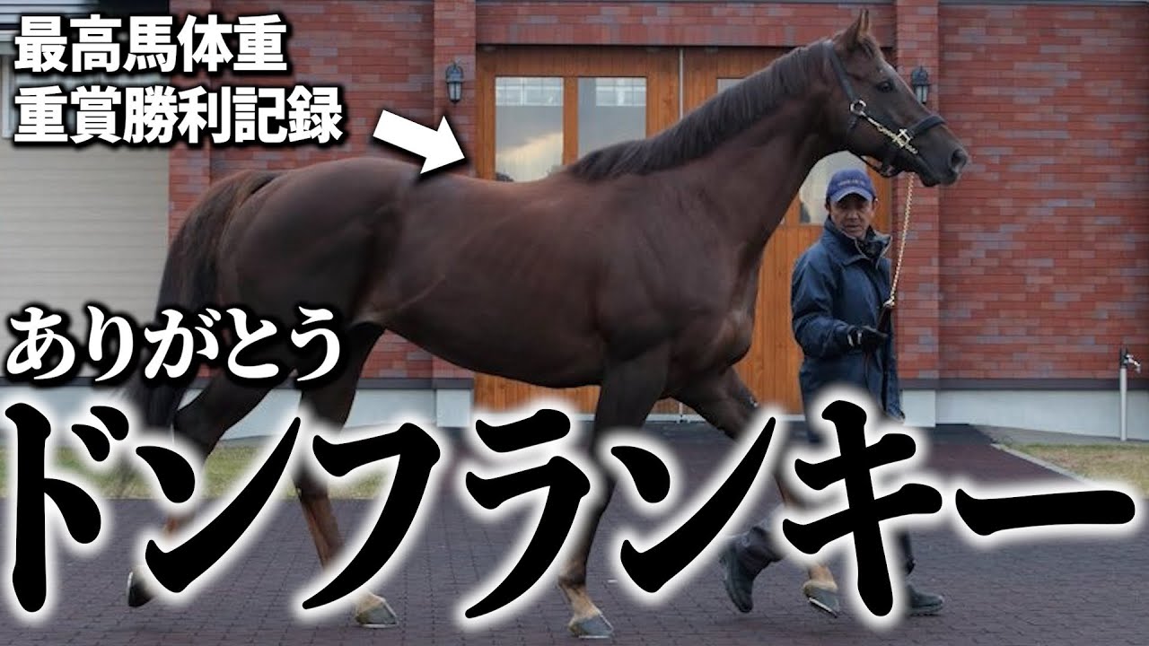 【巨漢594kg】ドンフランキー引退＆種牡馬入り！応援ありがとうございました