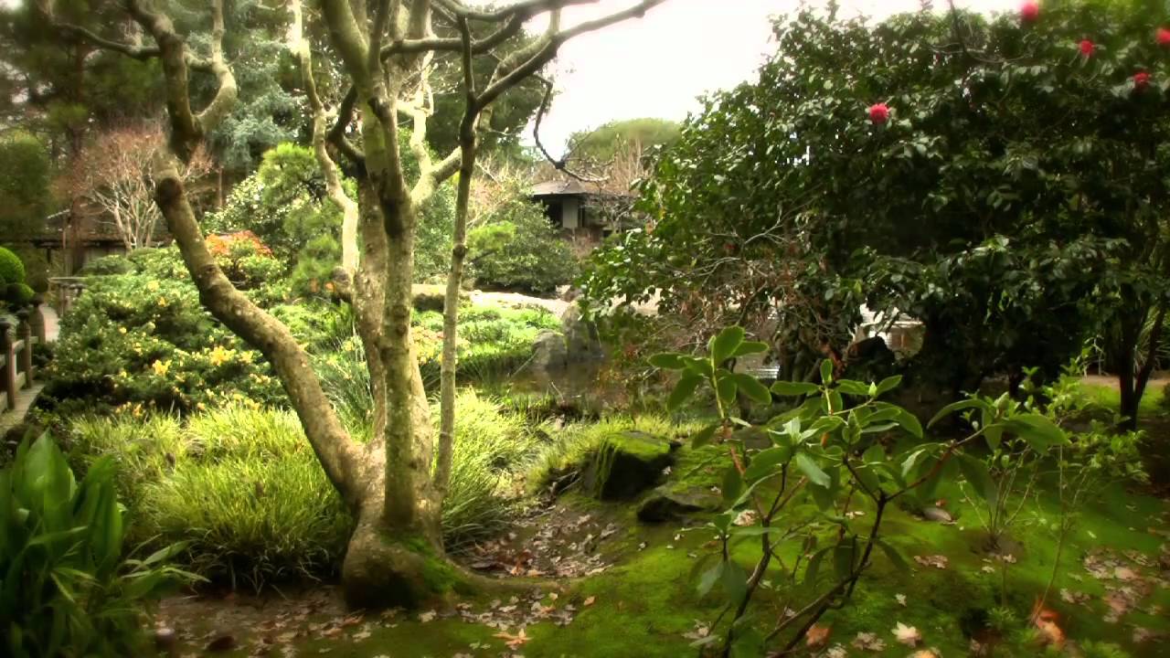 The San Mateo Japanese Tea Garden Youtube