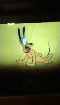 Pluto stops a cat's suicide attempt