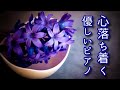 【心が落ち着く音楽】 優しく穏やかなピアノソロ曲集~癒し、心の安定、リフレッシュ