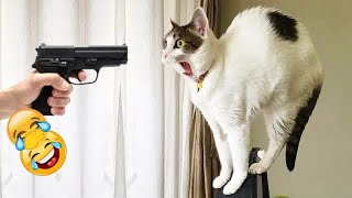 YOU LAUGH YOU LOSE🥰Best Funny Animals Video 2024😽🐶#13