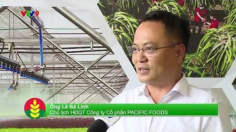 Phóng sự TRUY XUẤT NGUỒN GỐC NÔNG SẢN - CẦN LÀM NGAY