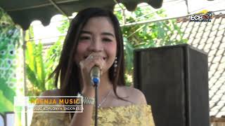 TUNG KERIPIT ' Ninik Safira ' ARENJA MUSIC Dangdut Live Sumberarum