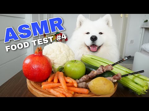 asmr-dog-reviewing-different-types-of-food-#4-i-mayasmr