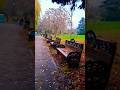 Parcul Regele Mihai l #Lacul Herastrau #nature #travelshorts
