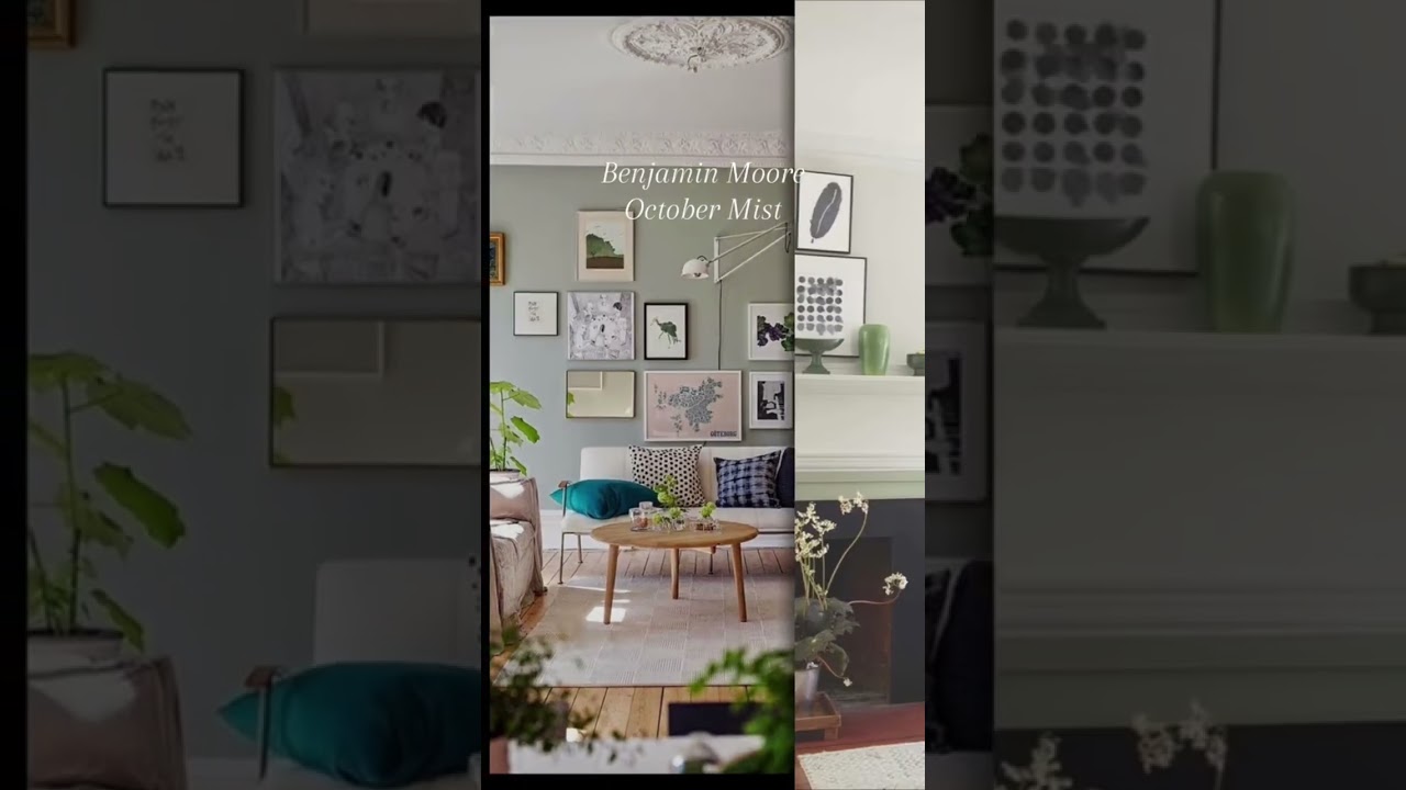 The 10 Best Sage Green Home Items to Shop in 2023 - PureWow