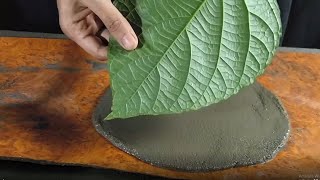 How To Make Cement Leaf Pot - concrete leaf casting - cement leaves - sand and cement