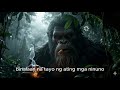 Bakit Amoy Tabako sa Gubat