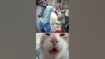 GIVE THIS VIDEO A TITLE ONLY WRONG ANSWER IN THE COMMENTS ❌ #memuyt #shorts