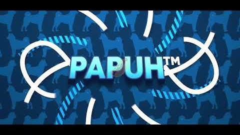 INTRO PapuhTM [2D]