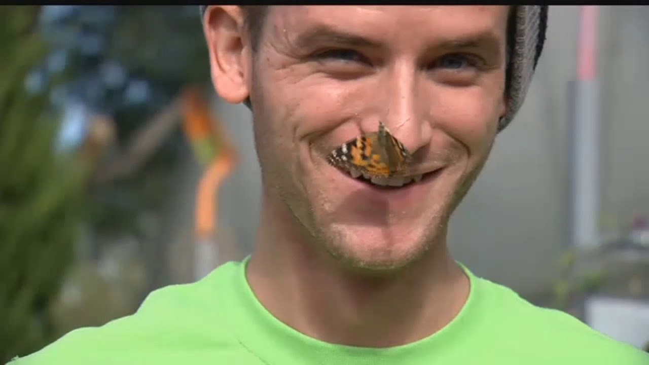 Migrating butterflies flood NWS radar signature in Denver