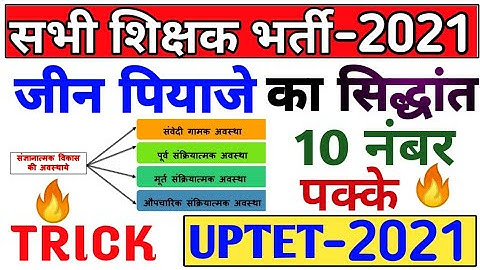 जीन पियाजे का धमाका सिद्धांत मनोविज्ञान | Jean Piaget | uptet ctet पियाजे सिद्धांत | guruji world