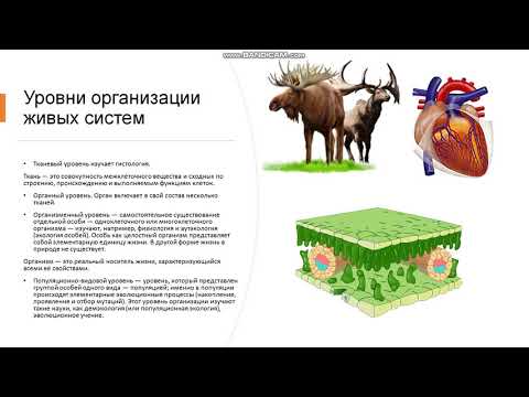 9 класс Сущность жизни и свойства живого Уровни организации живой природы Общее представление