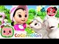 Help Little Bo Peep Find Her Sheep 🐑🎀 | Animals for Kids | Learn about Animals