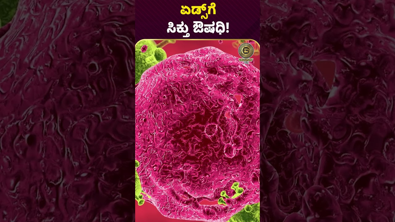 ಏಡ್ಸ್​ಗೆ ಸಿಕ್ತುಔಷಧಿ! 