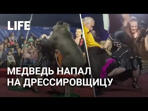 Медведь напал на дрессировщицу в Кемеровской области