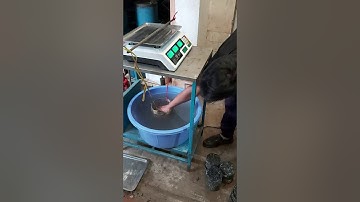 Testing tightness of the asphalt concrete/Thí nghiệm kiểm tra độ chặt BTN