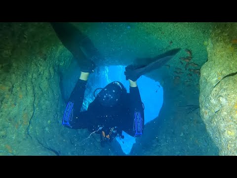 Diving Malta, Gozo and Comino 2025