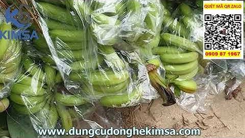 XƯỞNG SẢN XUẤT BAO NILON TRÙM CHUỐI, TÚI BAO BUỒNG CHUỐI GIÁ SỈ RẺ GIAO HÀNG TOÀN QUỐC