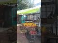 Fruits vendors in kabul
