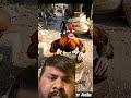 मुर्गा ने अपना ही मसाला पीस डाला😂🤣 || #funny @thethar_puns @DangerAalu28 #comedy🎬