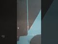Vtv hd