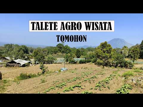 Talete Tomohon kawasan Agro Wisata yang keren, Indahnya Lowir'en Cafe di Kaki Gunung Mahawu