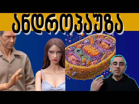 კაცების \"მენოპაუზა\" -    ტესტოსტერონის ამაღლება