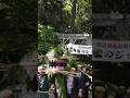 Giant 15-meter Long Dragon Snake Emerges from Japanese Shrine #shorts