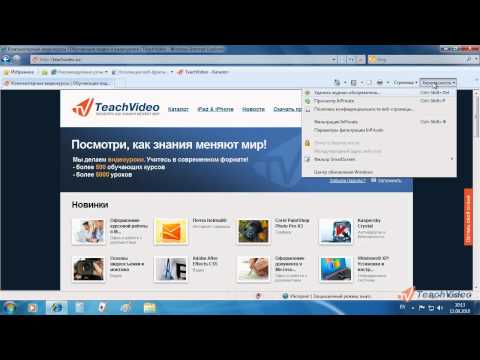 Internet Explorer 8 в Windows 7 - Режим «In Private» (34/52)
