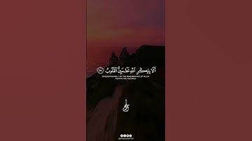 فيه أصوات مش مجرد تلاوة… دي إحساس | أحمد سامح