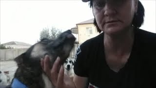 Я люблю их, а они любят меня Я люблю их, а они любят меня
